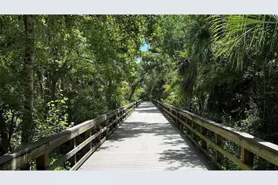 706 Sweetbriar Drive, Oldsmar, FL 34677 - Photo 38
