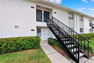 3808 N Oak Dr, Tampa, FL 33611 - Photo 2