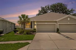 31457 Mango Fade Wy, San Antonio, FL 33576 - Photo 1