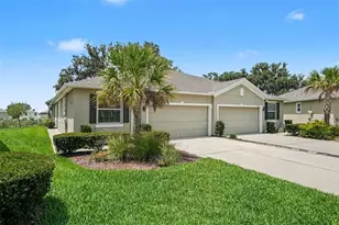 31457 Mango Fade Wy, San Antonio, FL 33576 - Photo 4
