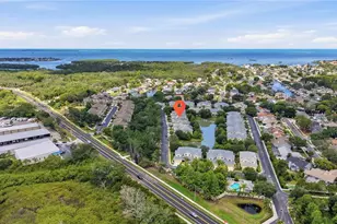 497 Harbor Ridge Dr, Palm Harbor, FL 34683 - Photo 48