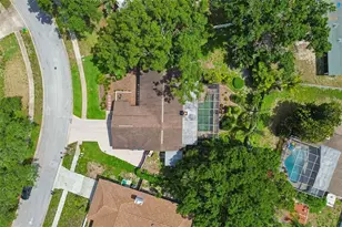 3034 Enisglen Dr, Palm Harbor, FL 34683 - Photo 64