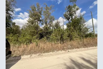 Sw Old Spanish Road, Fort White, FL 32038 - Photo 2