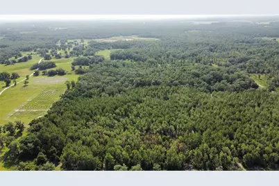 Ne Hwy 353, Old Town, FL 32680 - Photo 10