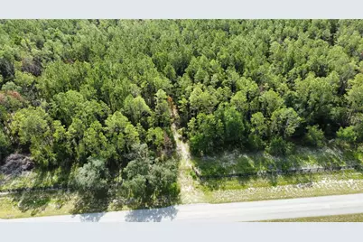 Ne Hwy 353, Old Town, FL 32680 - Photo 4