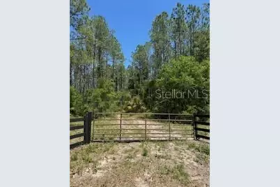 Ne Hwy 353, Old Town, FL 32680 - Photo 1
