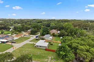 100 Avery Ave, Crystal Beach, FL 34681 - Photo 38