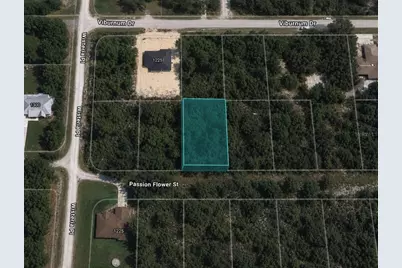 1220 Passion Flower Street, Sebring, FL 33875 - Photo 1