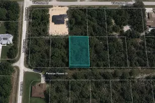 1220 Passion Flower St, Sebring, FL 33875 - Photo 1