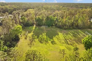 27309 Fordham Dr, Wesley Chapel, FL 33544 - Photo 40