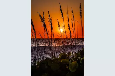 19829 Gulf Boulevard #501, Indian Shores, FL 33785 - Photo 36