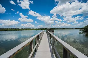 19829 Gulf Blvd, Indian Shores, FL 33785 - Photo 28