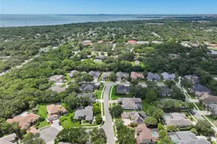 209 Highland Woods Dr, Safety Harbor, FL 34695 - Photo 84