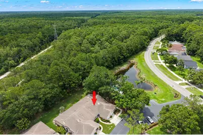 4405 Connery Court, Palm Harbor, FL 34685 - Photo 2