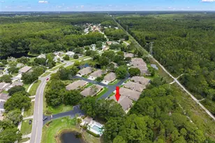 4405 Connery Ct, Palm Harbor, FL 34685 - Photo 36