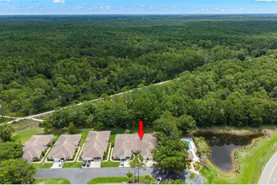 4405 Connery Court, Palm Harbor, FL 34685 - Photo 34