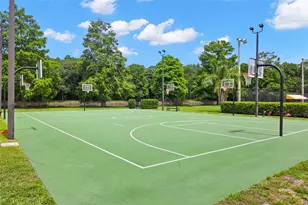 4405 Connery Ct, Palm Harbor, FL 34685 - Photo 42