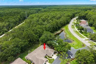 4405 Connery Ct, Palm Harbor, FL 34685 - Photo 1