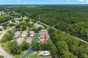 4405 Connery Ct, Palm Harbor, FL 34685 - Photo 32