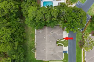 4405 Connery Ct, Palm Harbor, FL 34685 - Photo 40