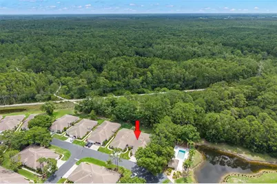 4405 Connery Court, Palm Harbor, FL 34685 - Photo 38