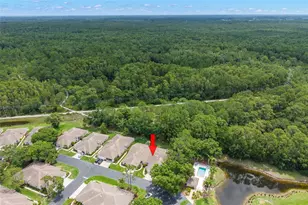 4405 Connery Ct, Palm Harbor, FL 34685 - Photo 38