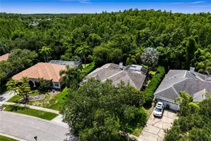 6123 Savoy Cir, Lutz, FL 33558 - Photo 60