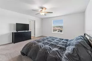 22203 Calisto Wy, Land O Lakes, FL 34637 - Photo 24