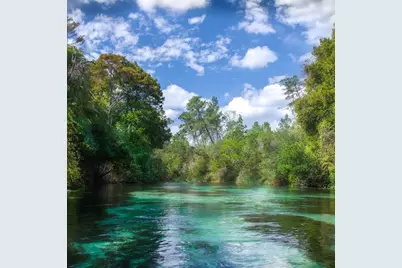 Macek Road, Weeki Wachee, FL 34614 - Photo 4