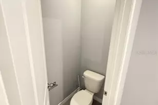 17029 Blister Wing Dr, Wimauma, FL 33598 - Photo 34