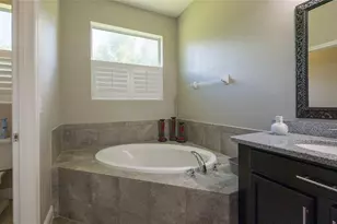 22564 Cherokee Rose Pl, Land O Lakes, FL 34639 - Photo 40