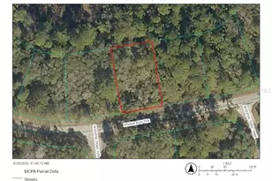Tbd Fisher Run Terrace, Ocklawaha, FL 32179 - Photo 1