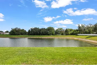 36719 Spanish Rose Drive, Dade City, FL 33525 - Photo 32