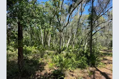 Citadel Drive, Webster, FL 33597 - Photo 4