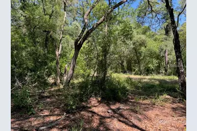 Citadel Drive, Webster, FL 33597 - Photo 2
