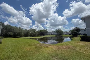 4105 Waterside Island Ct, Tampa, FL 33617 - Photo 16