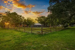 17321 Simmons Rd, Lutz, FL 33548 - Photo 1