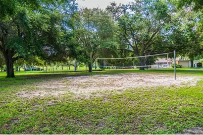 515 Sandy Hook Road, Palm Harbor, FL 34683 - Photo 80