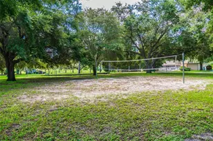 515 Sandy Hook Rd, Palm Harbor, FL 34683 - Photo 80