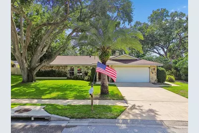 515 Sandy Hook Road, Palm Harbor, FL 34683 - Photo 58
