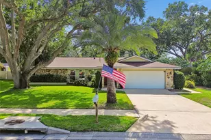 515 Sandy Hook Rd, Palm Harbor, FL 34683 - Photo 58