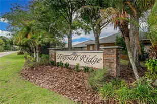 3702 Trapnell Grove Loop, Plant City, FL 33567 - Photo 40