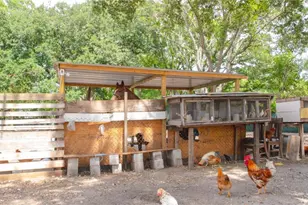 15229 N 13th St, Lutz, FL 33549 - Photo 18