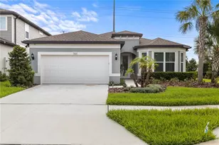 783 Little Cloud Pl, Valrico, FL 33594 - Photo 1