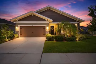 5408 Tagalong Pl, Apollo Beach, FL 33572 - Photo 1