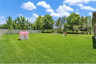 12316 Fitzroy Street, Odessa, FL 33556 - Photo 32