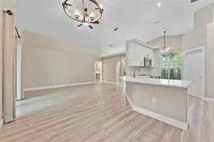 4287 Tremblay Way, Palm Harbor, FL 34685 - Photo 10