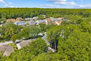 4287 Tremblay Way, Palm Harbor, FL 34685 - Photo 46