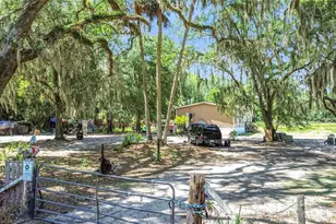 1689 NE 189 Ln, Citra, FL 32113 - Photo 28