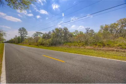 35166 Cornerstone Drive, Ridge Manor Estates, FL 33597 - Photo 4